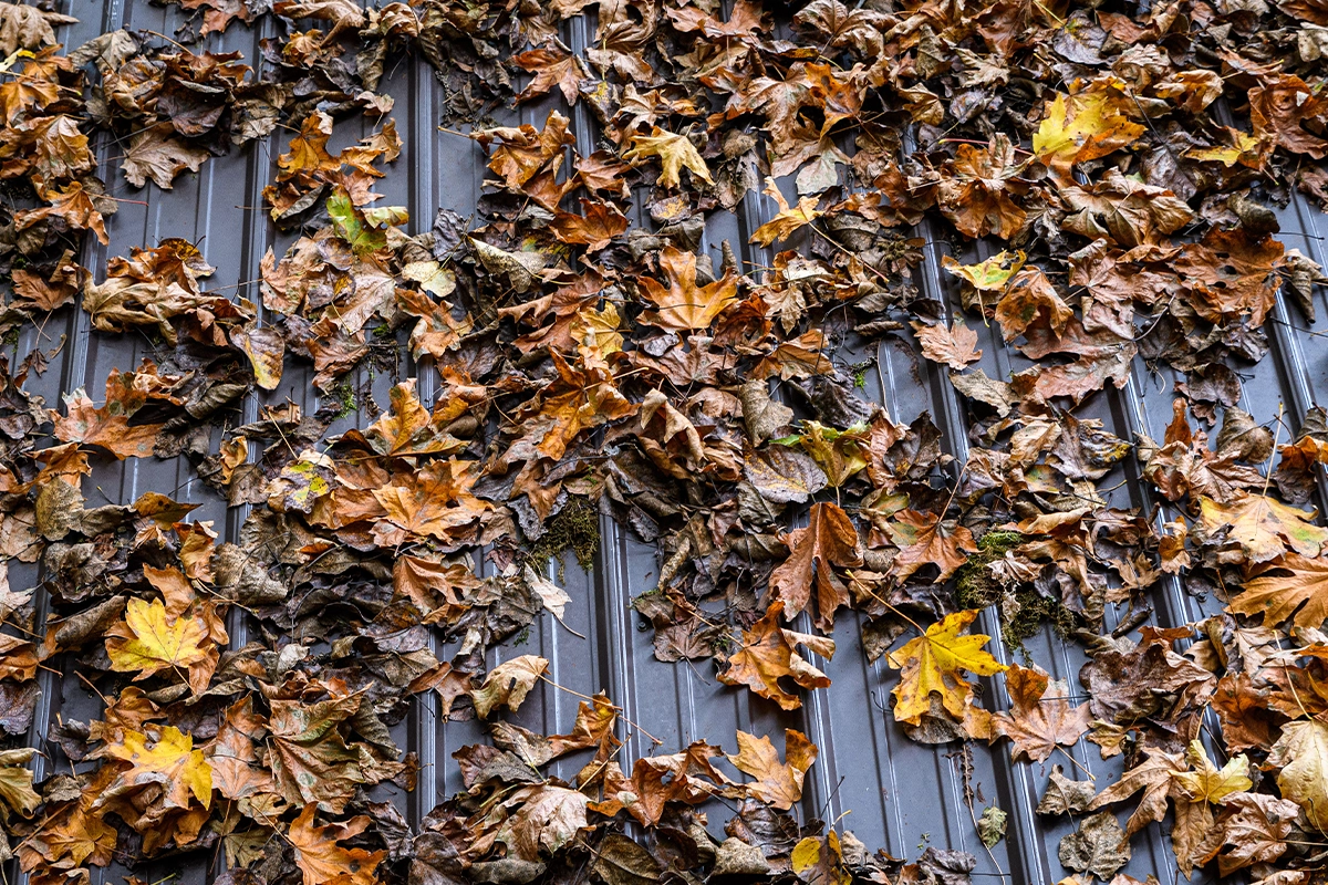 4 Ways to Maintain Your Metal Roof This Fall